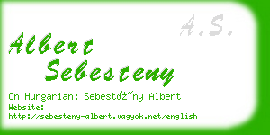 albert sebesteny business card